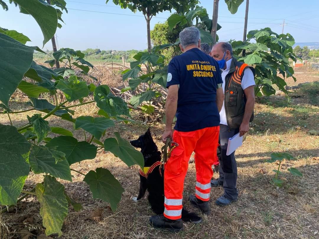 Unità Cinofile da Soccorso